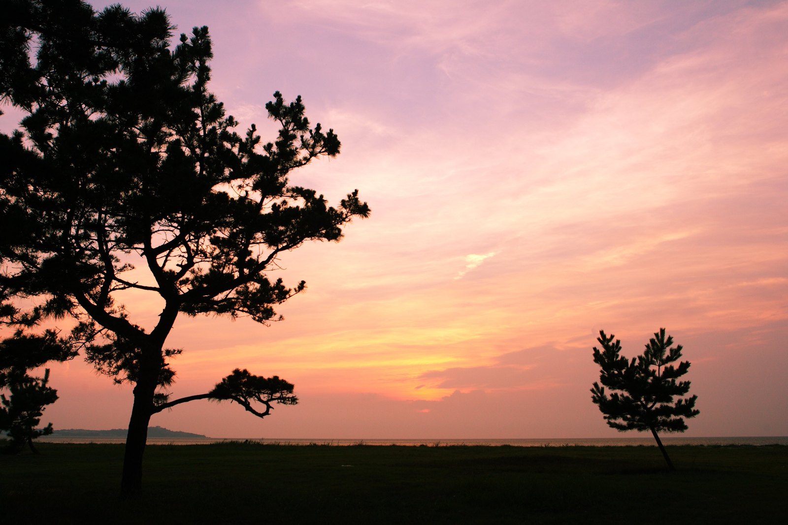 慶野松原の夕日
